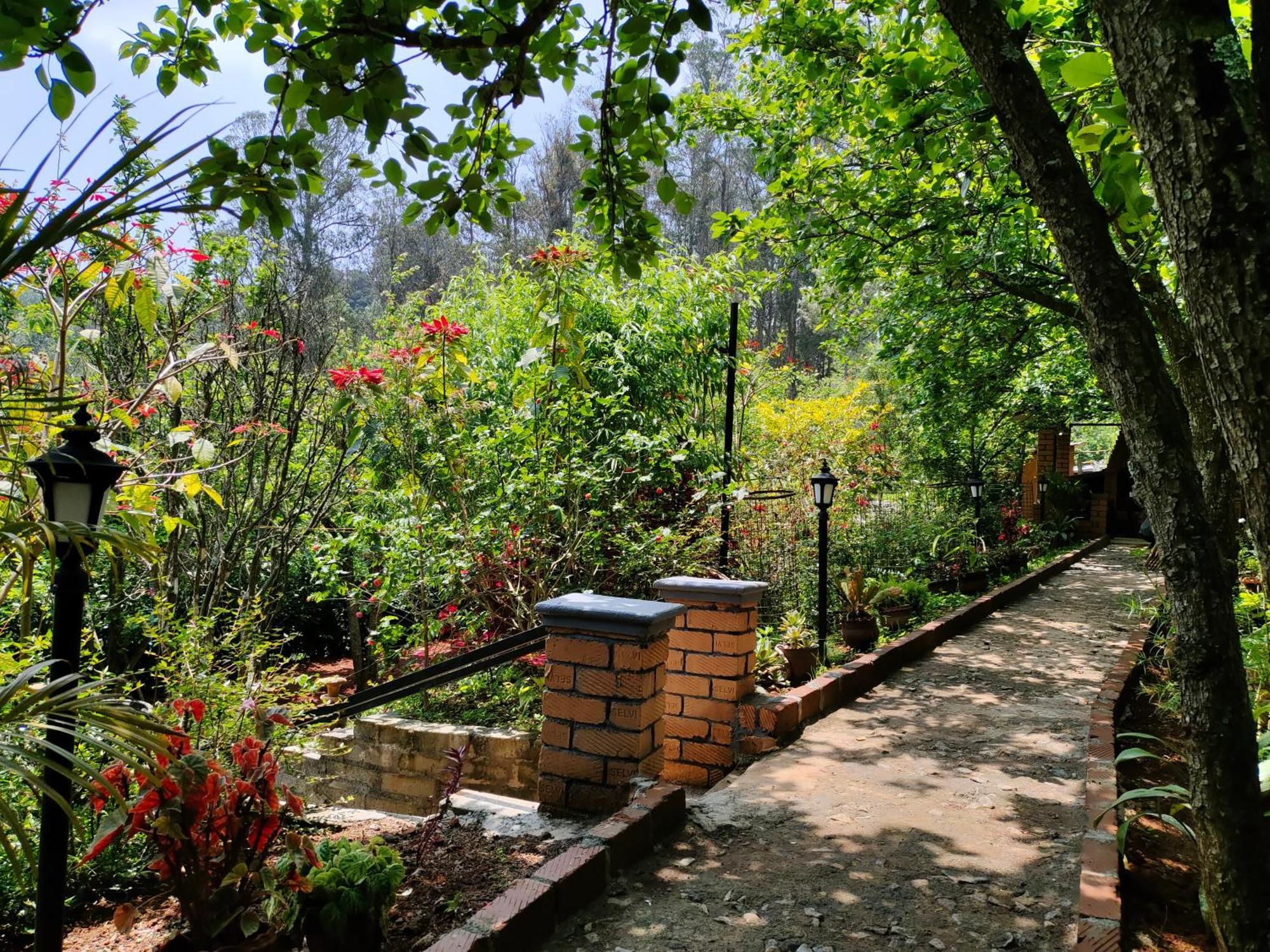 Pear Tree Entire 2Bhk Villa Kotagiri Exterior photo