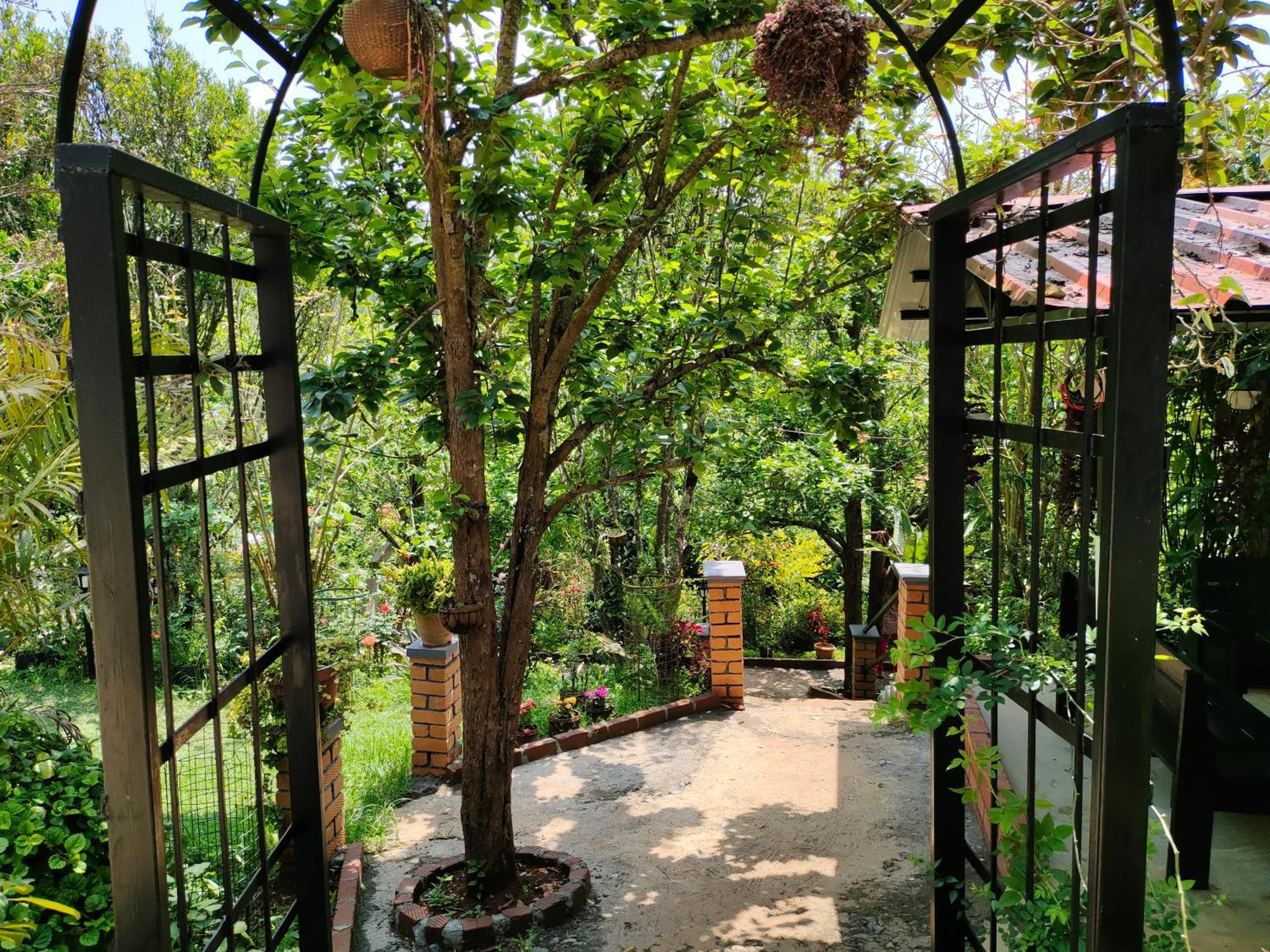 Pear Tree Entire 2Bhk Villa Kotagiri Exterior photo